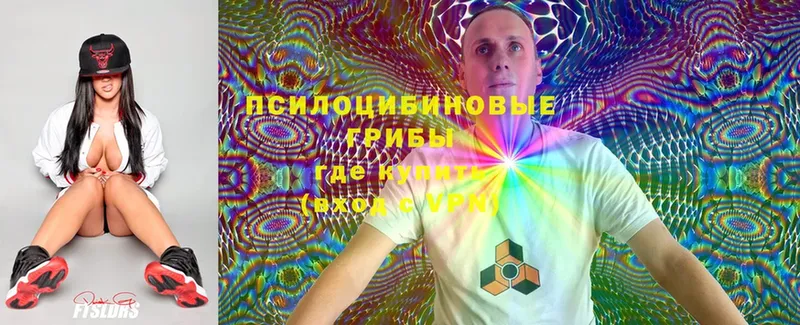 Псилоцибиновые грибы Magic Shrooms  блэк спрут сайт  Абаза  магазин   